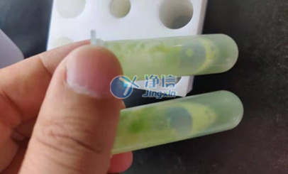 凈信全自動(dòng)樣品快速研磨儀|浙江大學(xué)定量水稻葉片研磨實(shí)驗(yàn)